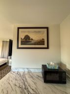 cce400dcbd68ec2ca0489970c2fcd981-xlarge